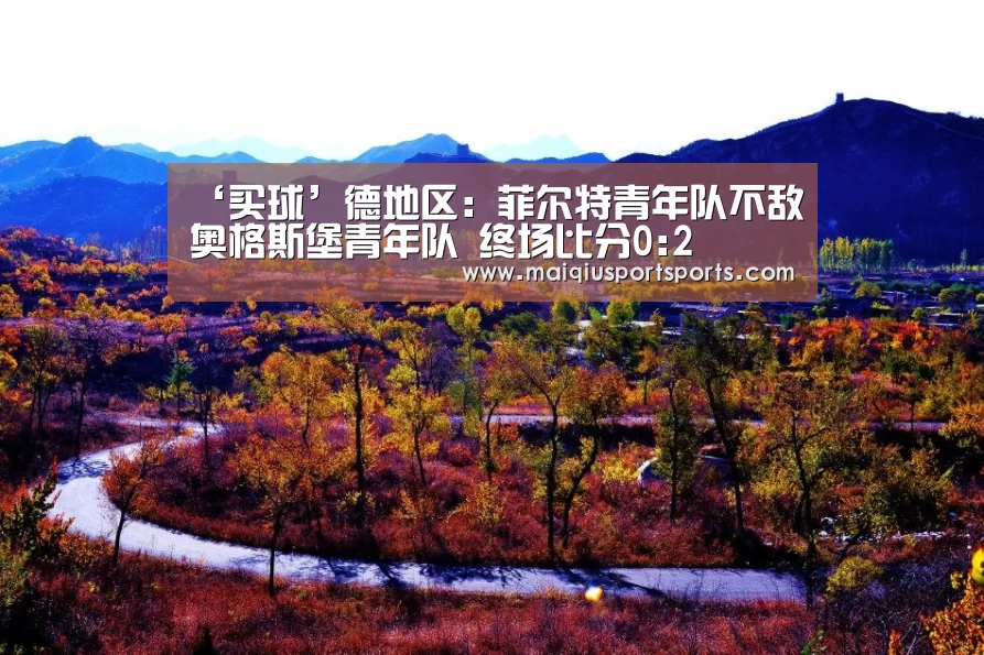 ‘买球’德地区: 菲尔特青年队不敌奥格斯堡青年队 终场比分0:2(图2) 买球站