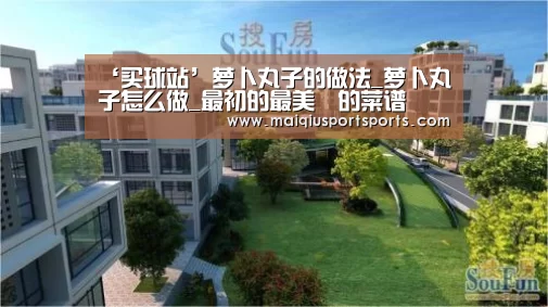 ‘买球站’萝卜丸子的做法_萝卜丸子怎么做_最初的最美❤的菜谱(图2) 买球